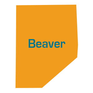 Beaver County and Aliquippa Senior Health Care