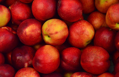 health insurance wellness apples 